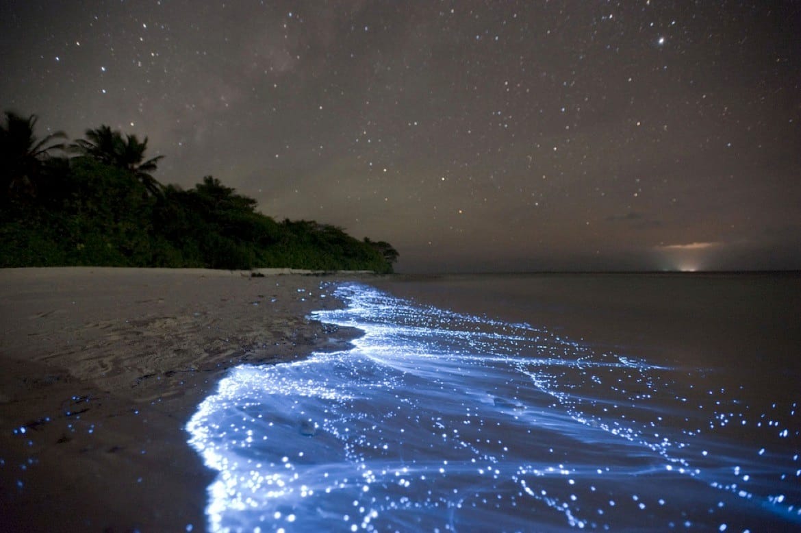 Sea of Stars on Vaadhoo Island
